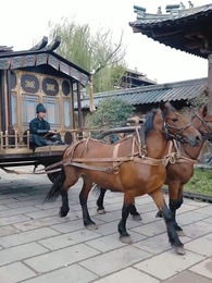 The Top Scholar's Remarkable Comeback - Episode 40