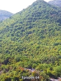 Der Alpha König ist mein zweiter Gefährte - Episode 64