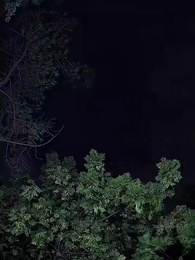 奪心攻略 - Episode 1