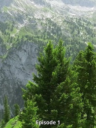 Der Alpha König ist mein zweiter Gefährte - Episode 1