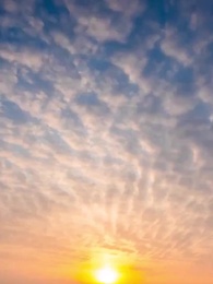 แผนร้ายหักเหลี่ยมมังกร - Episode 47