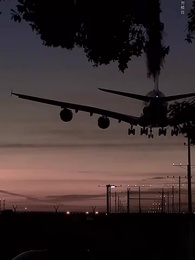 第66集 - 夕顏如故