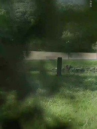 夕顏如故 - Episode 51