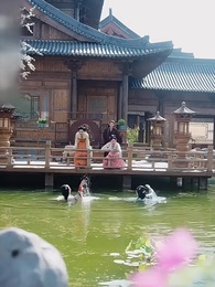 7화 - 상사병