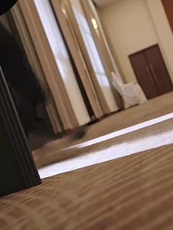 訂婚宴上，全家人的祝福 - Episode 13