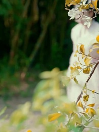 ลำนำรักสองภพ - Episode 60