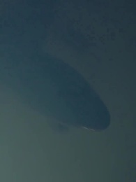 My Rejected Wife Is A Billionaire - Episode 1