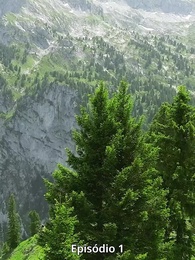 O Rei Alfa, Meu Segundo Escolhido - Episode 1