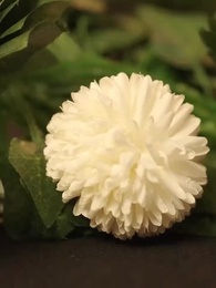 O Sabor Proibido do Meu Meio-Irmão - Episode 1