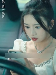 Episode 35 - Return With CEO's Quadruplets