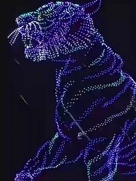 第17集 - 分手你提的，我開公司你哭什麽