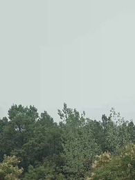 我在人間擺地攤 - Episode 1