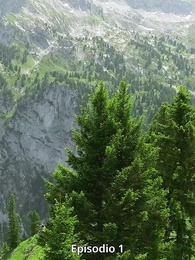 Episodio 1 - El Rey Alfa Es Mi Segundo Pareja