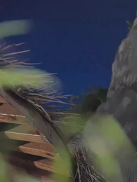 乘風而行的美麗 - Episode 41