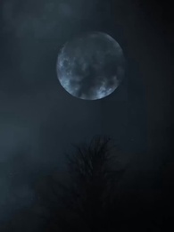 Épisode 1 - Mon Roi Lycan Personnel