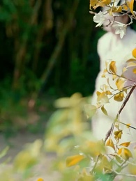 第60話 - 昭子と貴司