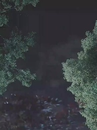 第28集 - 乘風而行的美麗