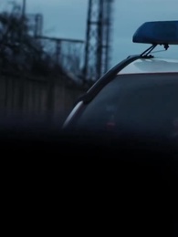 Fall in Love with My Missing Bride - Episode 73