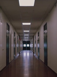 Fall in Love with My Missing Bride - Episode 53