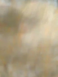 39화 - 차가운 궁궐의 불꽃