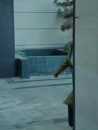 重生後讓害我女兒的渣夫綠茶付出代價 - Episode 6