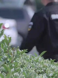 第37集 - 愛在黃昏日落前