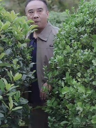 愛在黃昏日落前 - Episode 43