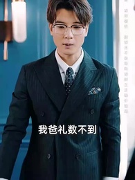 第33集 - 兒子，咱家真有錢