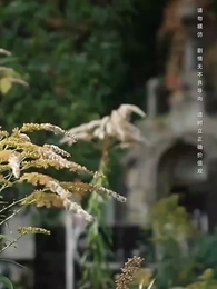 第1集 - 言出法隨後我無敵了