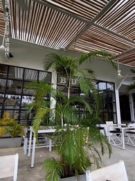 Contract With My Triplets' Father - Episode 53