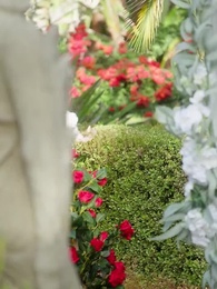 Épisode 25 - Amour Sauvage