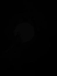 Amour Sauvage - Episode 1