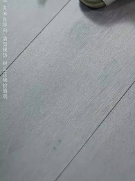 第62集 - 何以為家