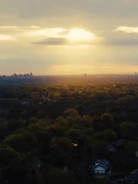 Episodio 8 - La Favorita del Alfa Violento