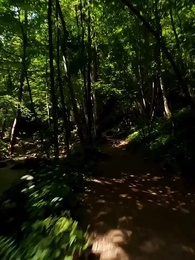 Episódio 1 - Escolhida pela Lua