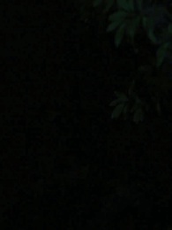 Épisode 17 - Renaître pour Venger-La Luna Trahie