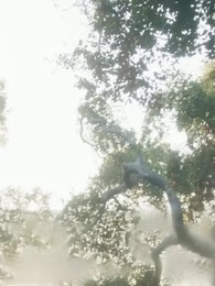 Renaître pour Venger-La Luna Trahie - Episode 62