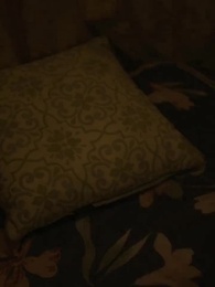 Épisode 54 - Renaître pour Venger-La Luna Trahie