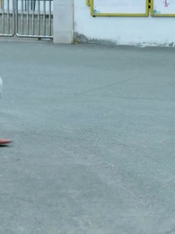 Episode 8 - Echoes of a Mother's Heart