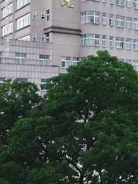 Divorced & Penniless: I Went on a Rampage - Episode 58