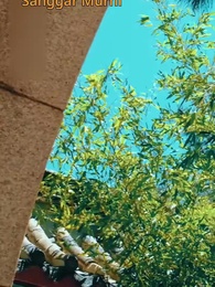 Episode 4 - Pukulan Penguasa Dunia