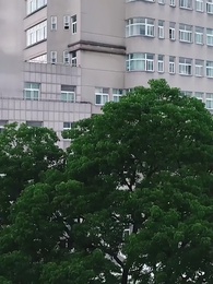 Episode 58 - Jadi Pembunuh Setelah Keluar Rumah