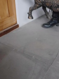 Episode 13 - Tomb Raiders' Chronicles