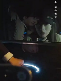 第28集 - 完美婚姻