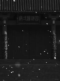 L'Amour Égaré - Episode 1