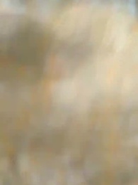 冷宮の妃はただ者じゃない - Episode 39