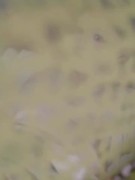 冷宮の妃はただ者じゃない - Episode 38