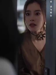 第18集 - 完美婚姻