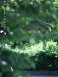 長寧踏歌 - Episode 1