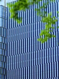 第29集 - 心死後，家人跪求我回家